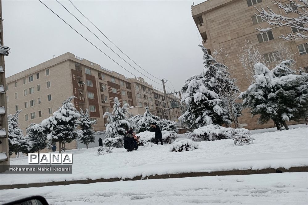 بارش شدید برف در تهران