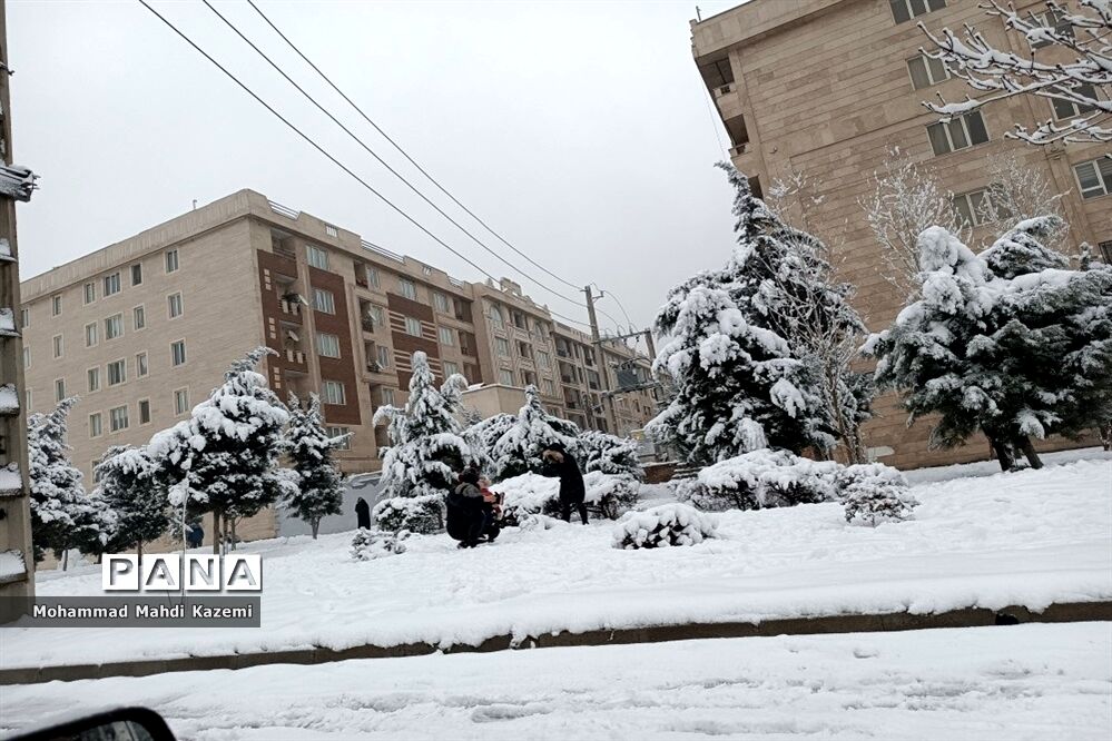 بارش شدید برف در تهران