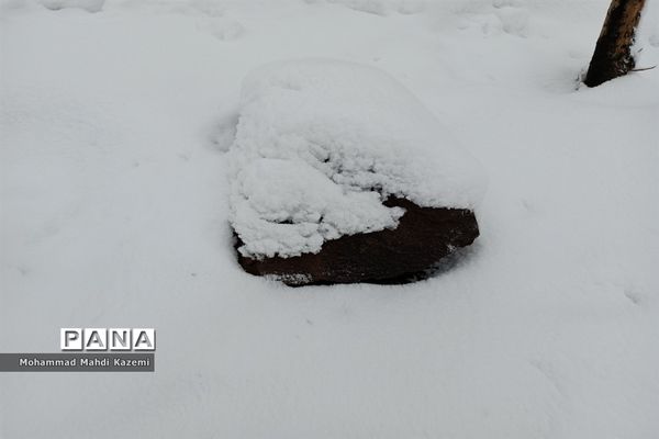 بارش شدید برف در تهران