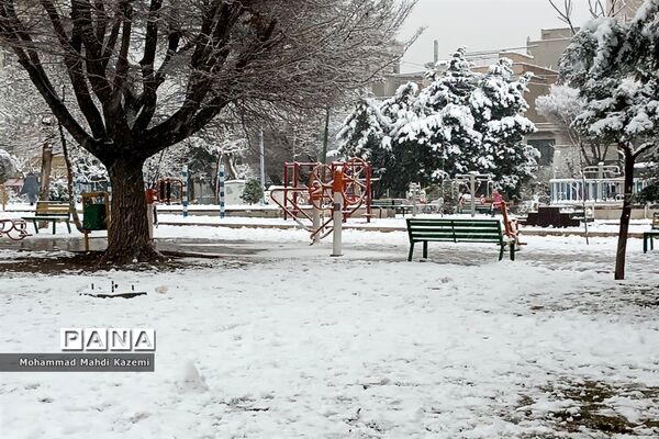 بارش شدید برف در تهران