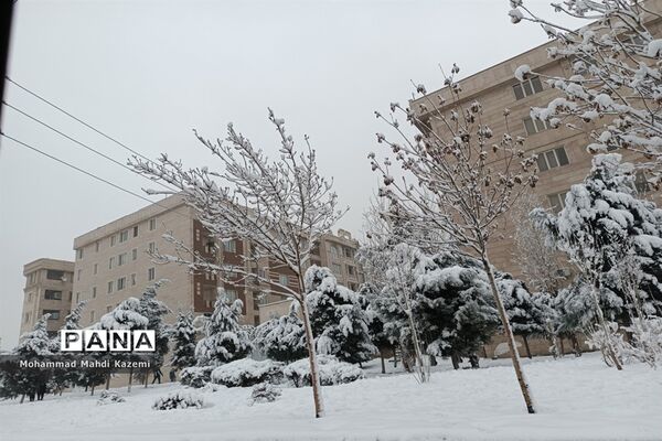 بارش شدید برف در تهران