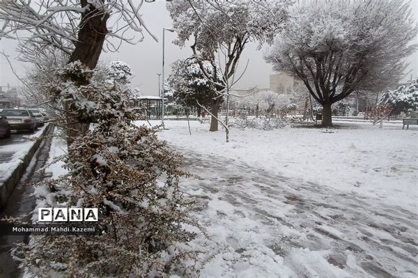بارش شدید برف در تهران