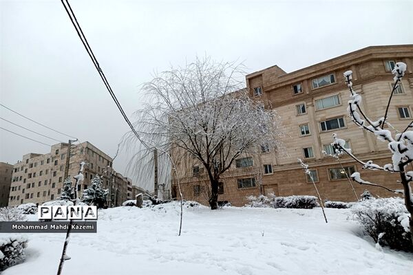 بارش شدید برف در تهران