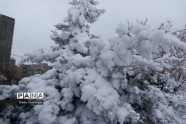 بهارستان سفیدپوش شد