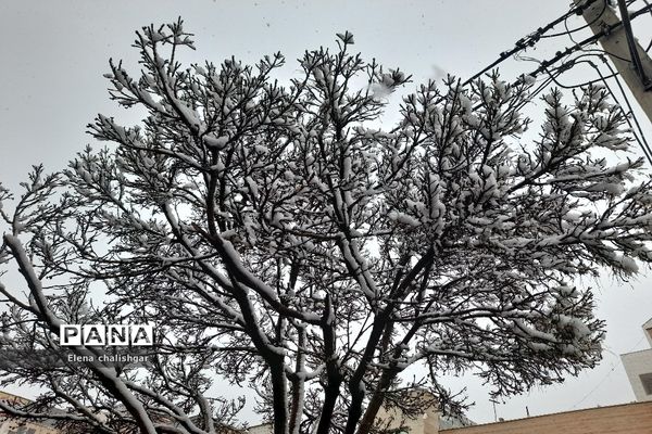 بهارستان سفیدپوش شد