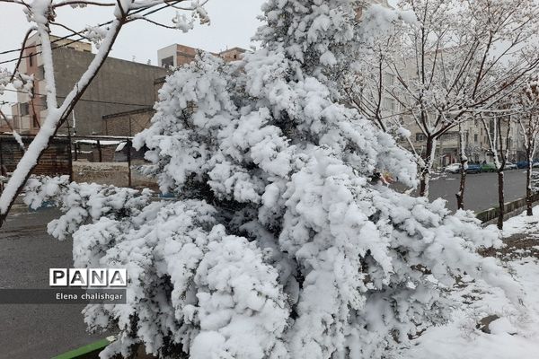 بهارستان سفیدپوش شد