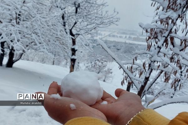 یک روز برفی در پارک جنگلی چیتگر