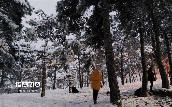 آمادگی پلیس راهور برای یخبندان شبانه و بامدادی در معابر تهران