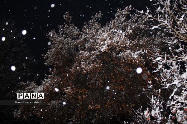 تهران لباس سفید بر تن کرد