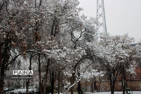 تهران لباس سفید بر تن کرد