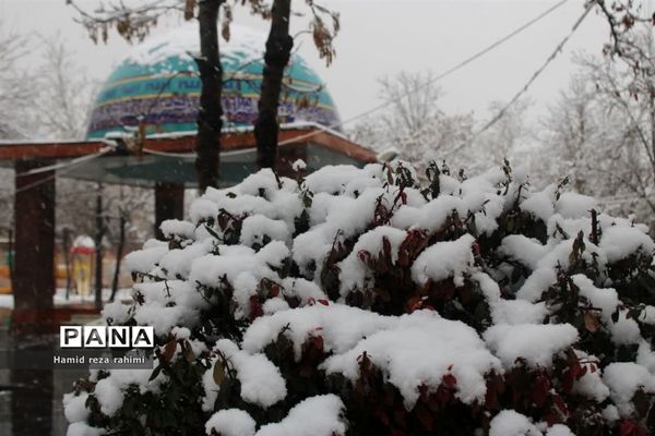 تهران لباس سفید بر تن کرد