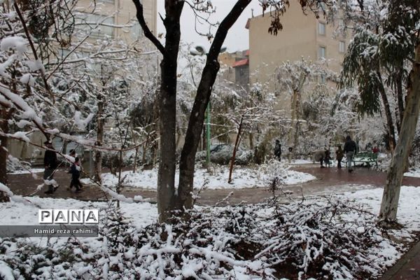 تهران لباس سفید بر تن کرد