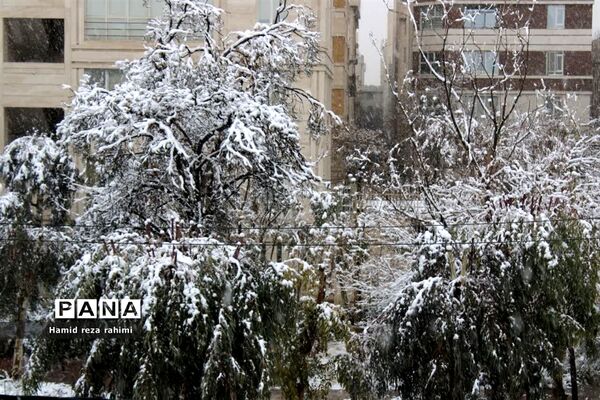 تهران لباس سفید بر تن کرد