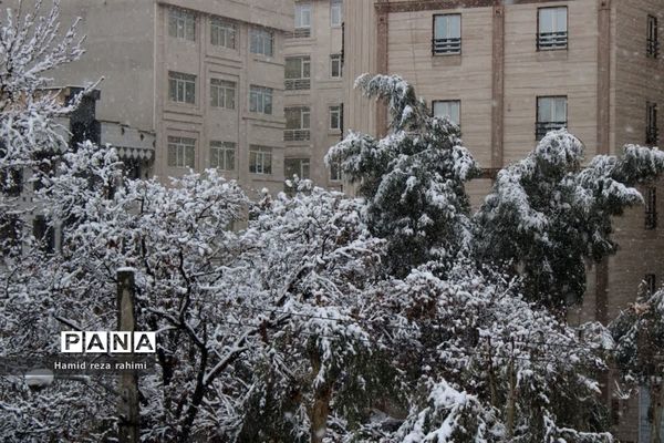 تهران لباس سفید بر تن کرد