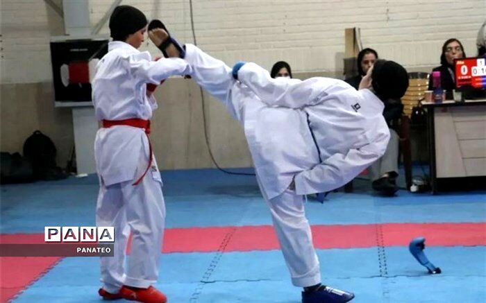 درخشش دانش‌آموز بهارستانی در مسابقات تورنمنت جهانی ژاپن