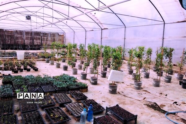 بازدید دانش‌آموزان برگزیده مسابقات پژوهش سراهای دانش‌آموزی از دانشگاه کشاورزی استان فارس