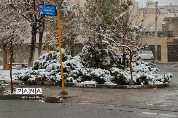 بارش برف در قم