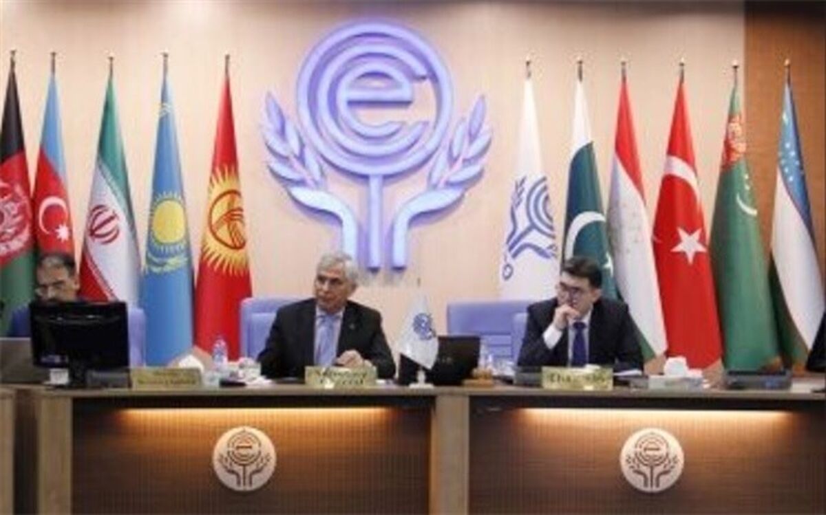 طرح زون‌بندی خطر زمین‌لغزش کشورهای عضو اکو اجرایی می‌شود