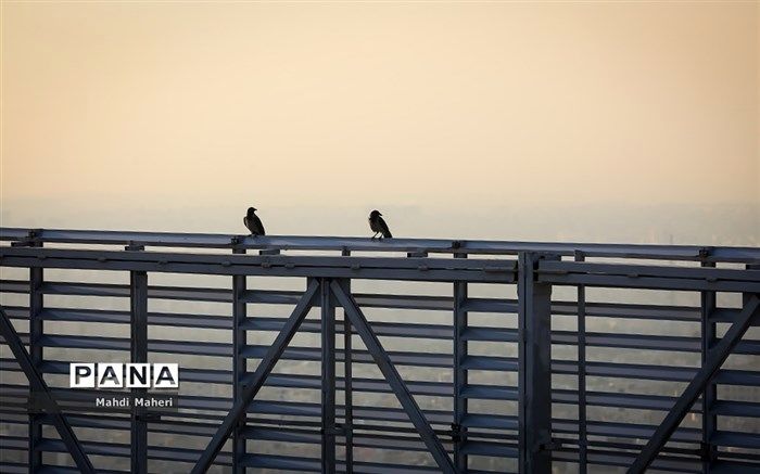 مشهد، آلوده‌ترین شهر ایران شد