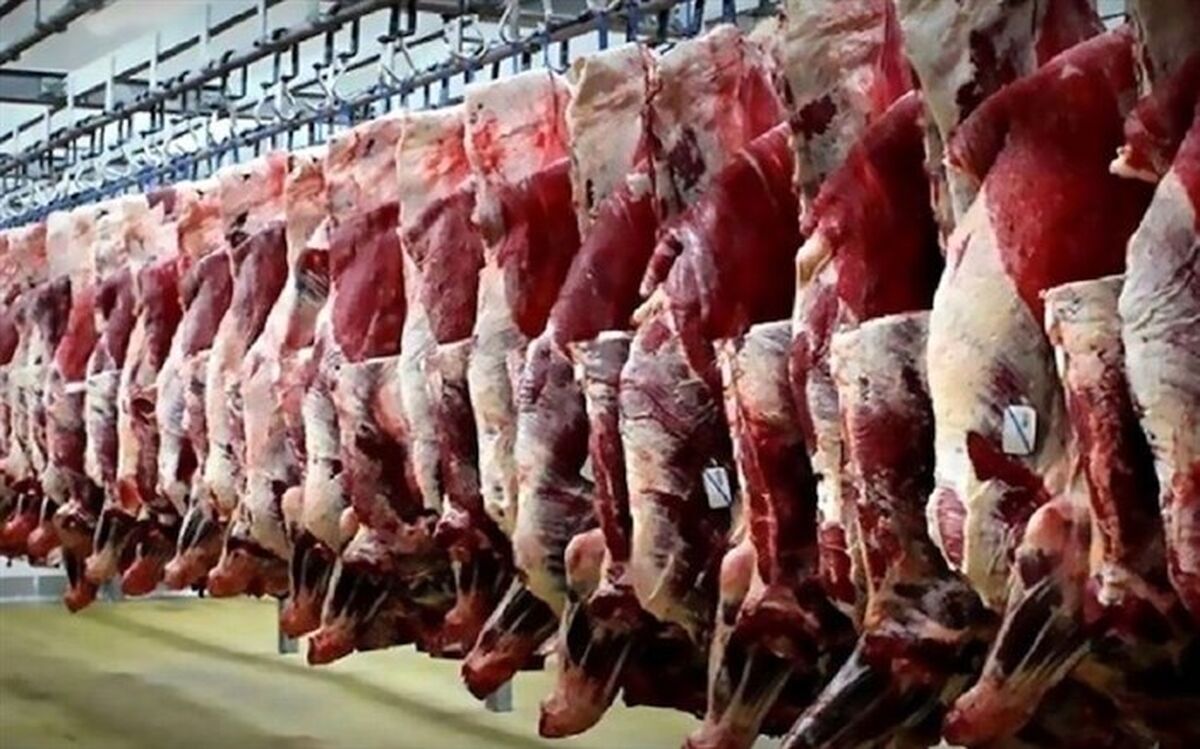 کاهش قیمت گوشت قرمز با عرضه انبوه دام از اواسط اسفندماه