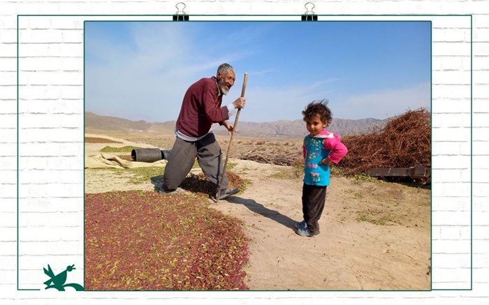 درخشش مربی  خراسان جنوبی  در هفتمین دو سالانه هنرهای تجسمی کشور