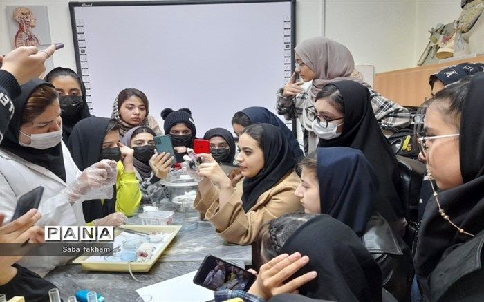 سلول‌های بنیادی یکی از جدیدترین عرصه‌های تحقیقاتی در علوم زیست‌پزشکی مدرن است