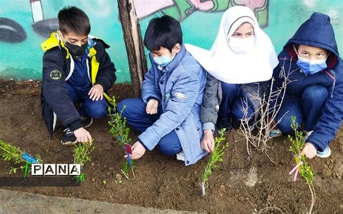 با اجرای طرح کاشت یک میلیارد درخت سالانه  ۱۷۰ میلیون تن گردو غبار جذب می‌شود