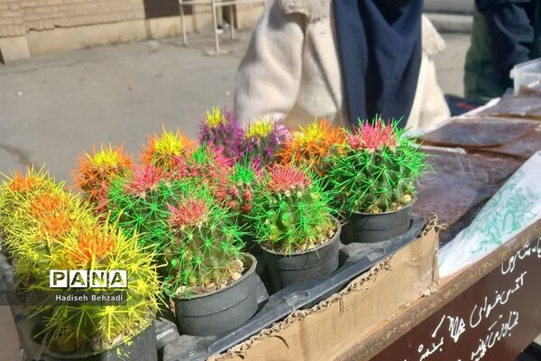 بازارچه آموزش کسب و کاردانش‌آموزان آموزشگاه آیت‌الله گلپایگانی اسلامشهر