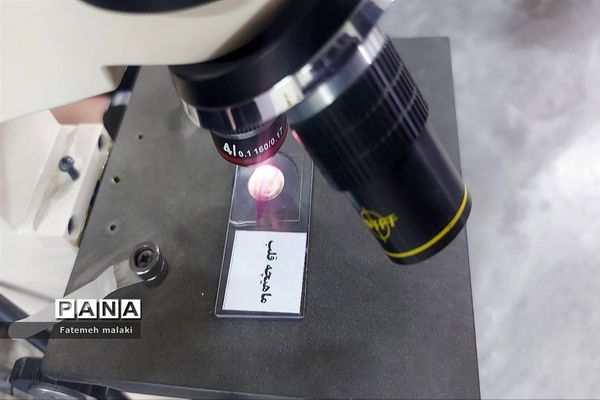 مسابقات علمی و تقدیر از رتبه‌های برتر در پژوهش سرای بوعلی سینا ملارد