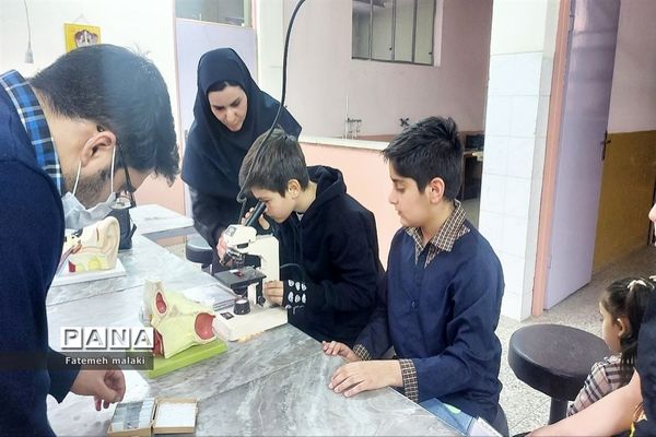 مسابقات علمی و تقدیر از رتبه‌های برتر در پژوهش سرای بوعلی سینا ملارد