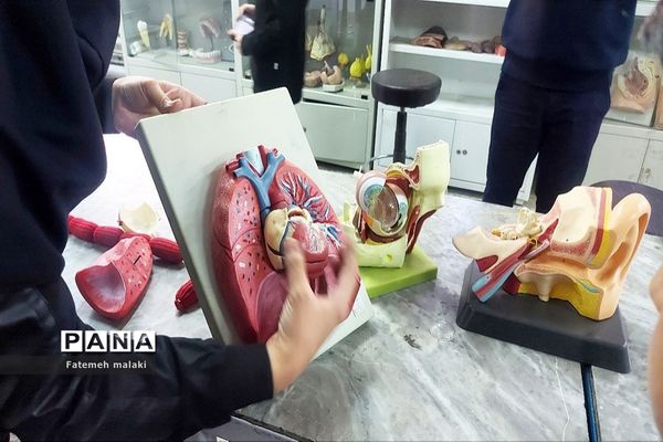 مسابقات علمی و تقدیر از رتبه‌های برتر در پژوهش سرای بوعلی سینا ملارد