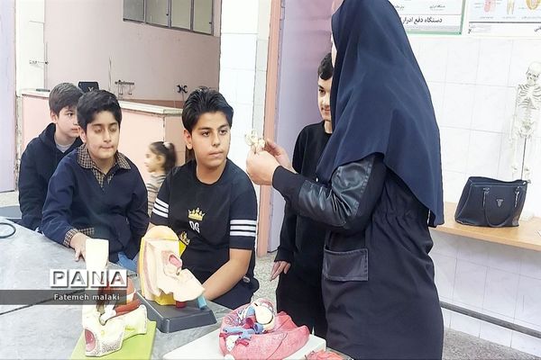 مسابقات علمی و تقدیر از رتبه‌های برتر در پژوهش سرای بوعلی سینا ملارد