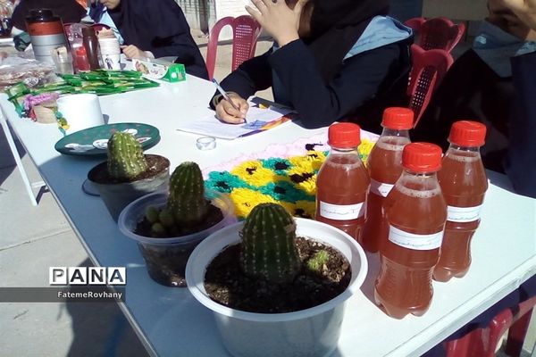 بازدید مدیر آموزش و پرورش خلیل‌آباد از بازارچه کار و فناوری دبیرستان پاکدل