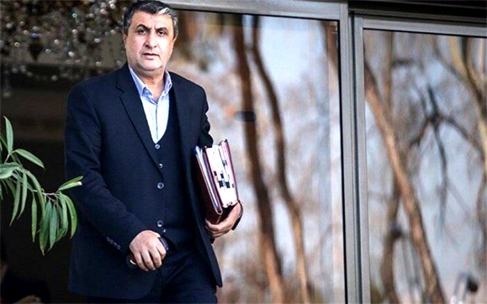 رییس سازمان انرژی اتمی وارد وین شد