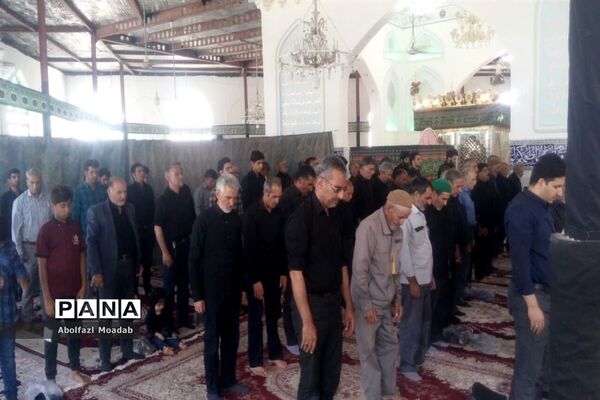 پذیرایی از کاروان‌های پیاده امام رضا(ع)