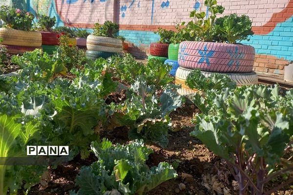 آماده‌سازی محیط مدارس برای آغاز سال تحصیلی با همت دانش‌آموزان