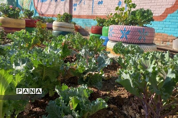 آماده‌سازی محیط مدارس برای آغاز سال تحصیلی با همت دانش‌آموزان