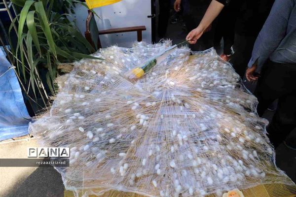 نواخته‌شدن زنگ ایثار و مقاومت در آذربایجان شرقی