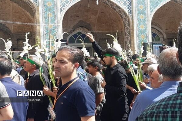 مراسم باشکوه سنتی مذهبی قالیشویان فین کاشان در مشهد اردهال