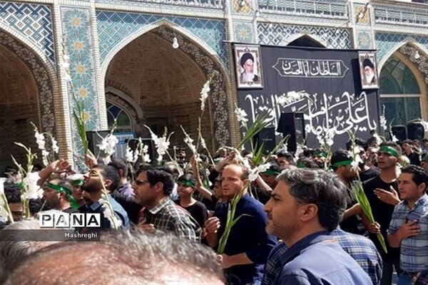مراسم باشکوه سنتی مذهبی قالیشویان فین کاشان در مشهد اردهال