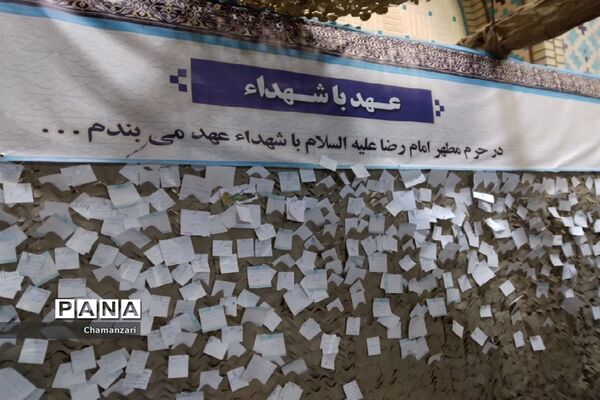 بزرگترین اجتماع دوست‌داران امام رضا(ع) در مشهد