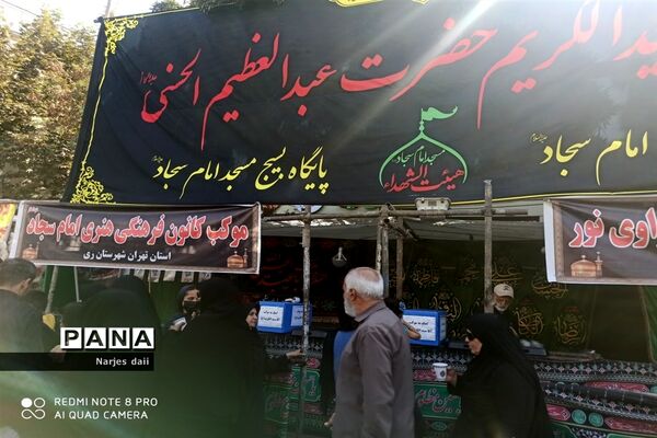 پیاده‌روی زائران امام رضا (ع) به سمت حرم مطهر رضوی