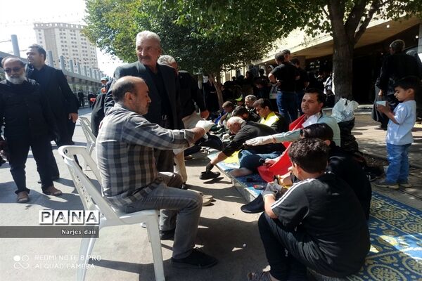 پیاده‌روی زائران امام رضا (ع) به سمت حرم مطهر رضوی