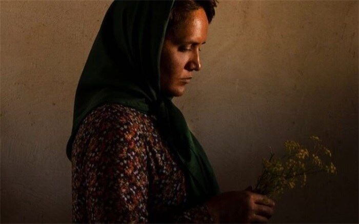 سیدمحمدرضا کمال علوی: ژانر را حداقل یک‌بار تجربه کنید