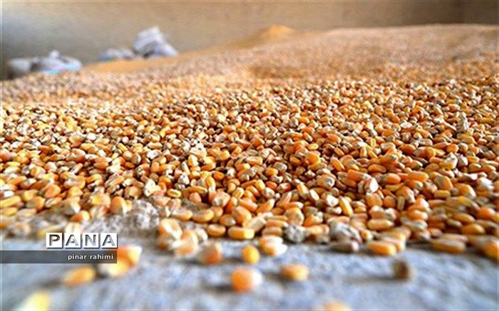 اگر مردم قدرت خرید داشته باشند؛ در تولید مشکلی نیست