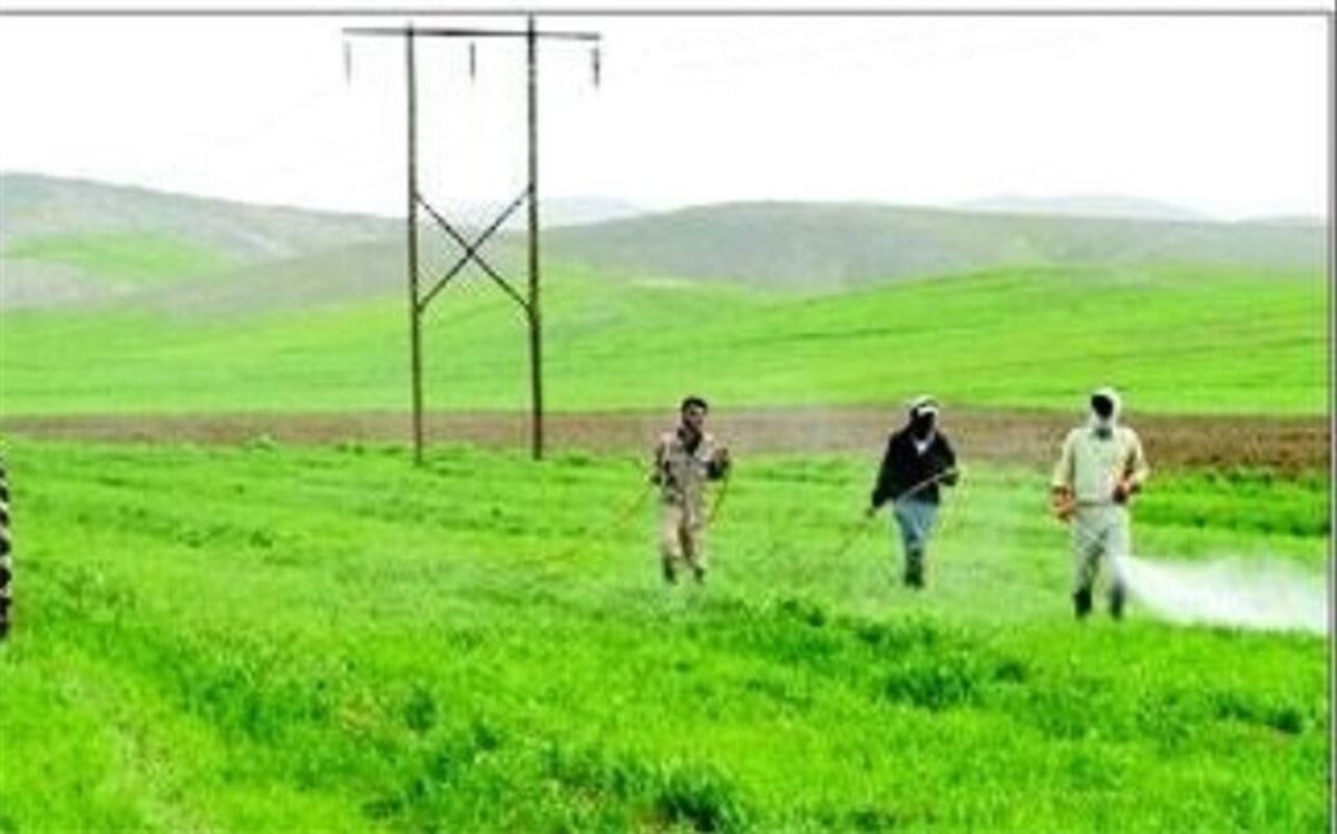 دولت ۷۰ درصد قیمت کودهای یارانه‌ای را با پرداخت یارانه به کشاورزان جبران می‌کند
