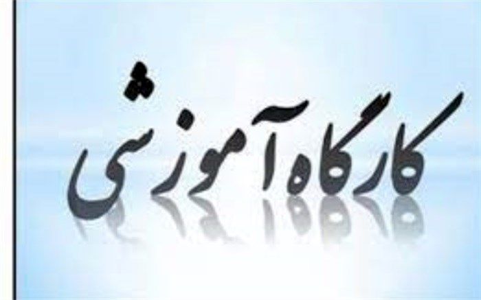 کارگاه آموزشی نومعلمان در بندرریگ برگزار شد