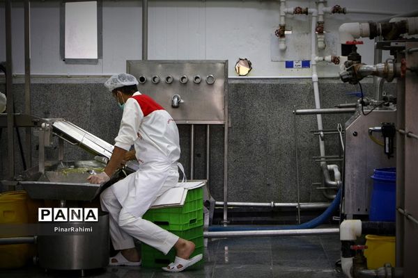 از تولید تا فرآوری تخم مرغ