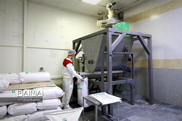 از تولید تا فرآوری تخم مرغ