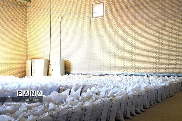 از تولید تا فرآوری تخم مرغ